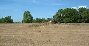 Voshell, Minner, Penington, Slaughter, Carrow, Wilson, Ford, Faulkner, Van Winkle, Ball, Crouch, Price, Williams, Pennington, Craven, Cochrane, Biddle, Bankert, Stonesifer, Vandergrift, Yingling, Hyland