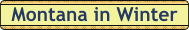 MontanaInWinter.gif (2088 bytes)