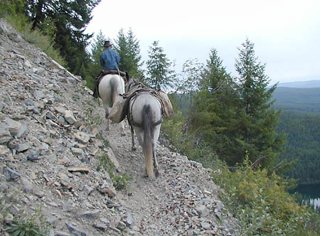 UHL-WranglerOnRockyTrail.JPG (53365 bytes)