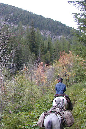 UHL-WranglerTodd&Pack.JPG (51572 bytes)