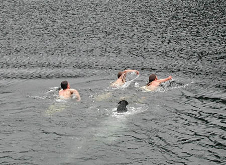 UHL-PipeSwimmingOut2.JPG (49648 bytes)