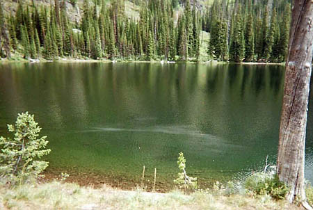 UHL-SprinkleSlick.JPG (42822 bytes)