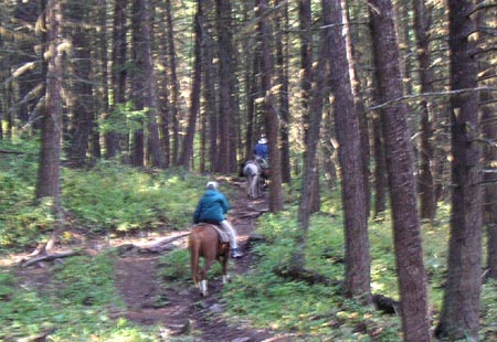 PICT0052OnTheTrailToUHL01.JPG (79314 bytes)