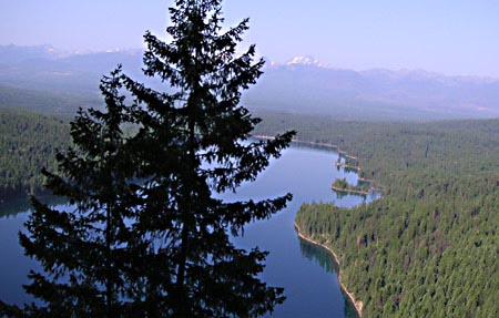 PICT0061OnTheTrailToUHL08.JPG (59782 bytes)