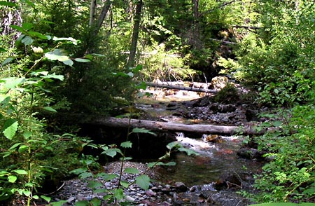 PICT0171TrailDown07.JPG (106691 bytes)