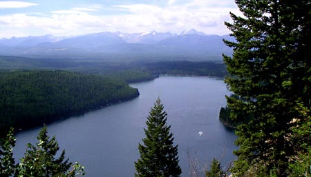 PICT0175TrailDown11.JPG (49723 bytes)