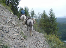 UHL-WranglerOnRockyTrail_sm.JPG (16878 bytes)