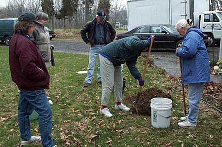 tree_home4_med.jpg (52766 bytes)
