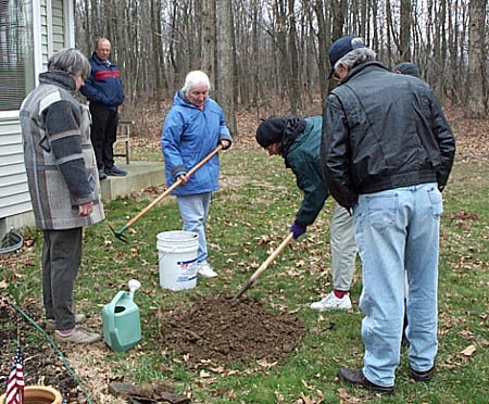tree_home5_med.jpg (70497 bytes)