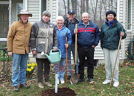 tree_home8_med.jpg (62053 bytes)