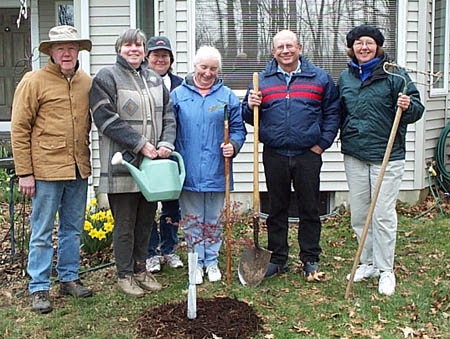 tree_home9_med.jpg (64910 bytes)